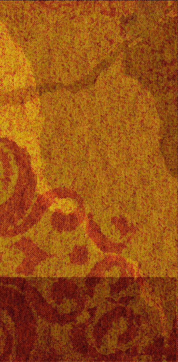 Damas 149 B variation 623 x 1265