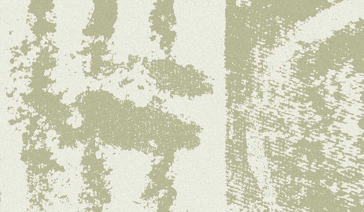 Huella variation 1 738 x 1265