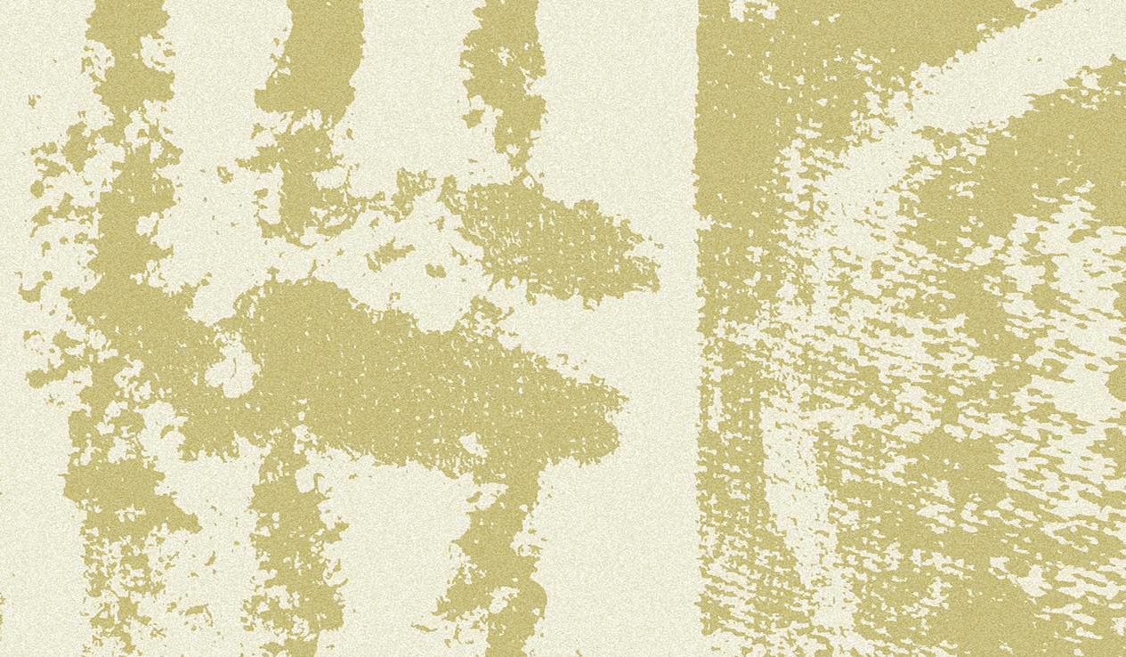 Huella variation 2 738 x 1265