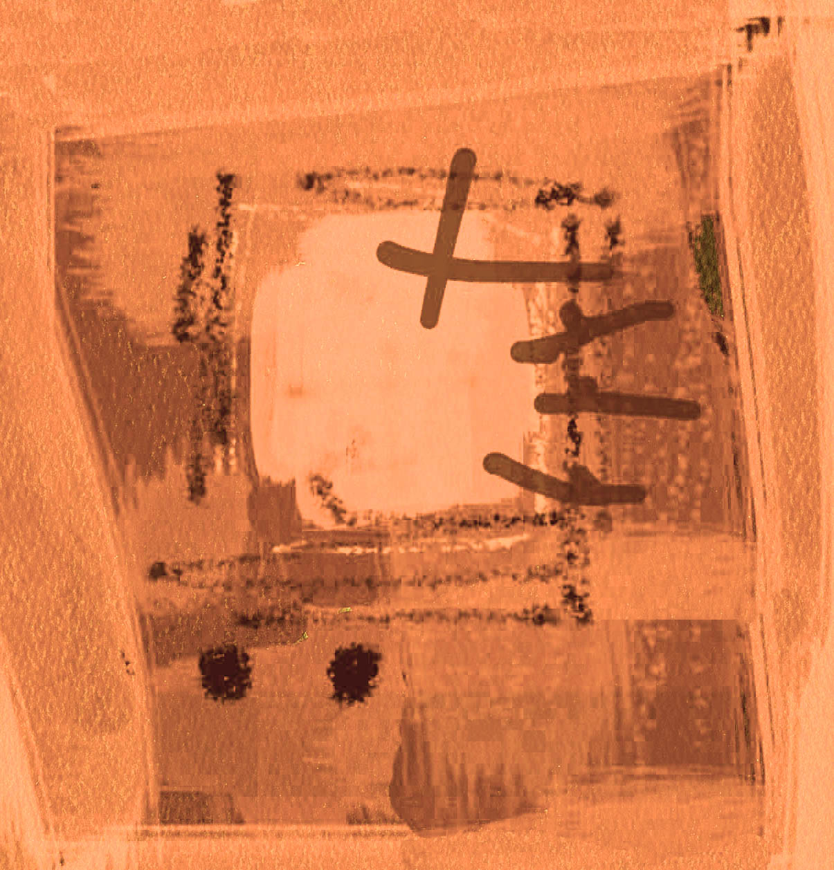 Mist orange 1258 x 1265